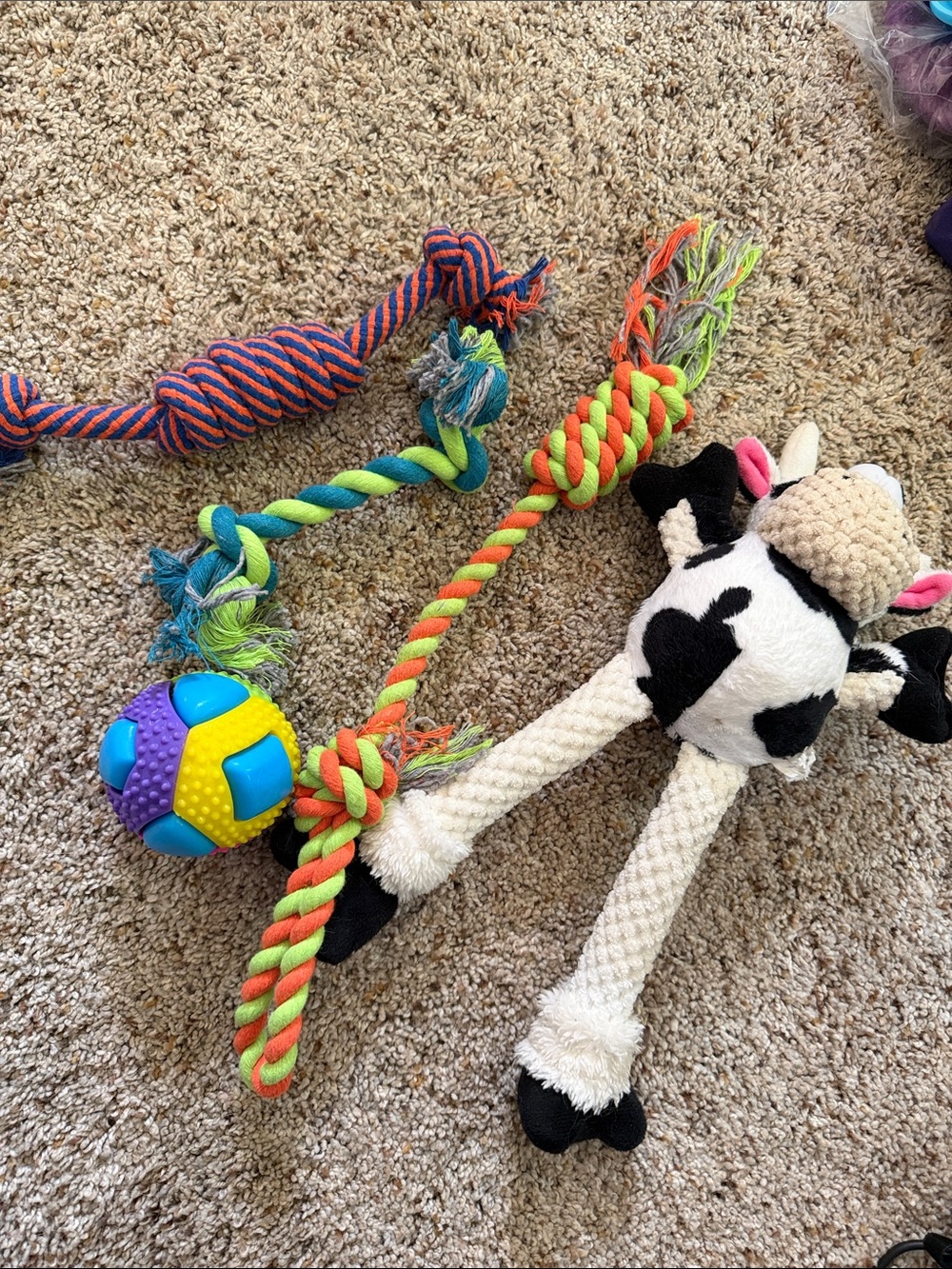 Dog Toy Bundle